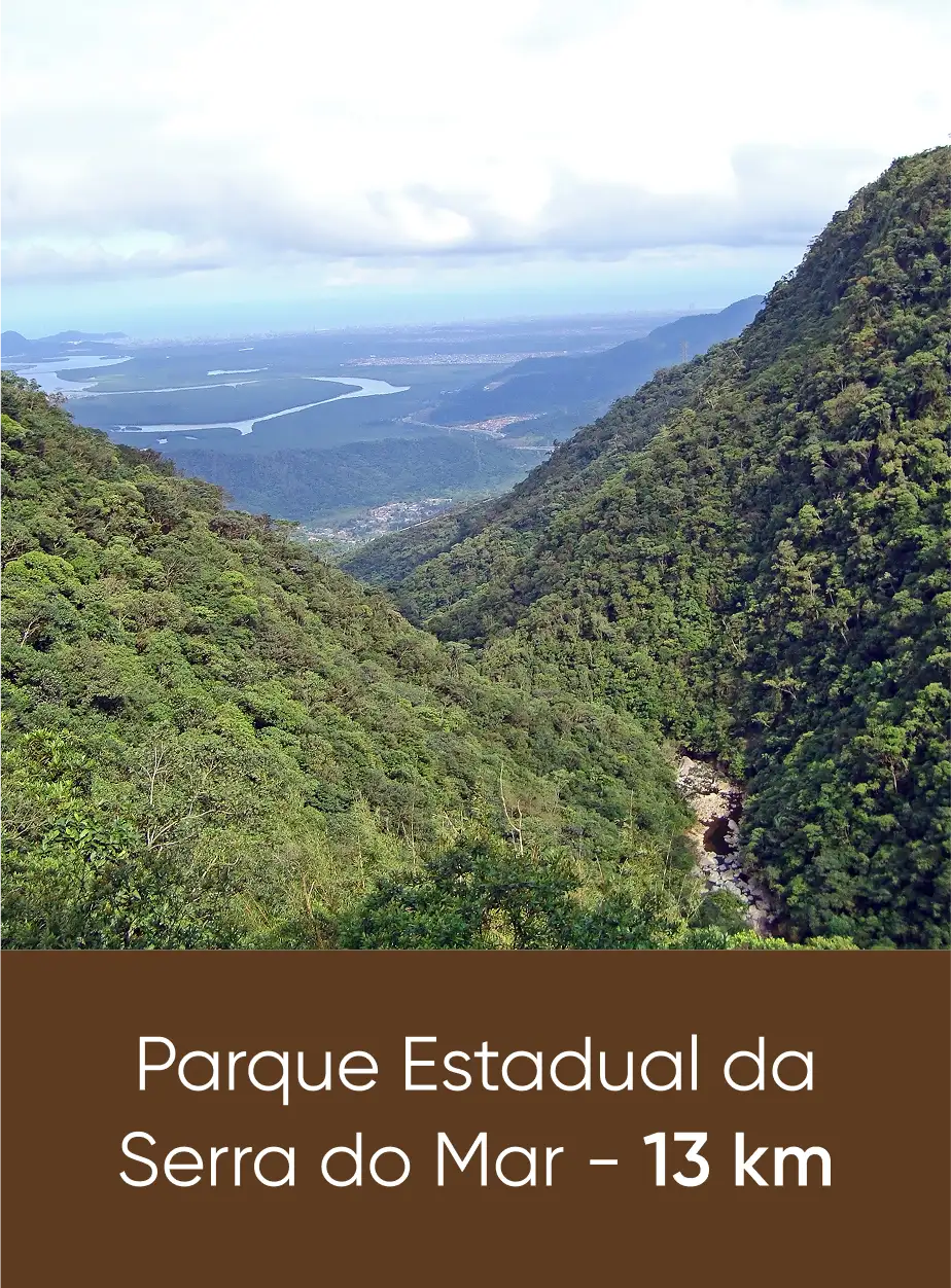 conveniencia-serra-do-mar